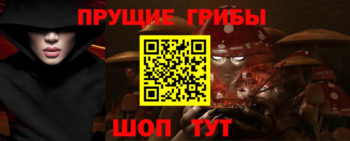 Псилоцибиновые грибы Psilocybe Пушкино